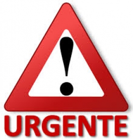 MSICG CONDENA ANTEJUICIO INSTADO POR LA FISCAL GENERAL EN CONTRA DE LOS MAGISTRADOS DE LA CORTE DE CONSTITUCIONALIDAD Y ALERTA SOBRE POSIBLE CAPTURA DE MAGISTRADOS DE LA CC